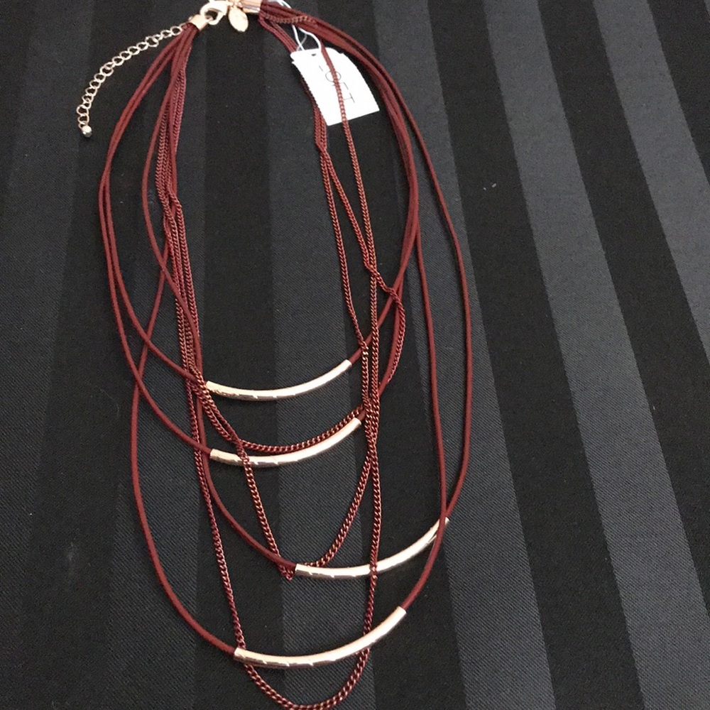 Pretty layered necklace NWT